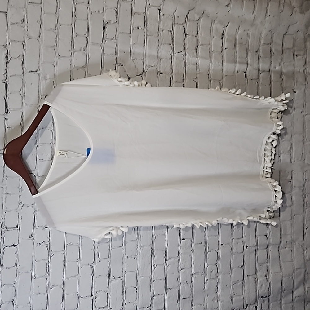 Sheer swimsuit coverup